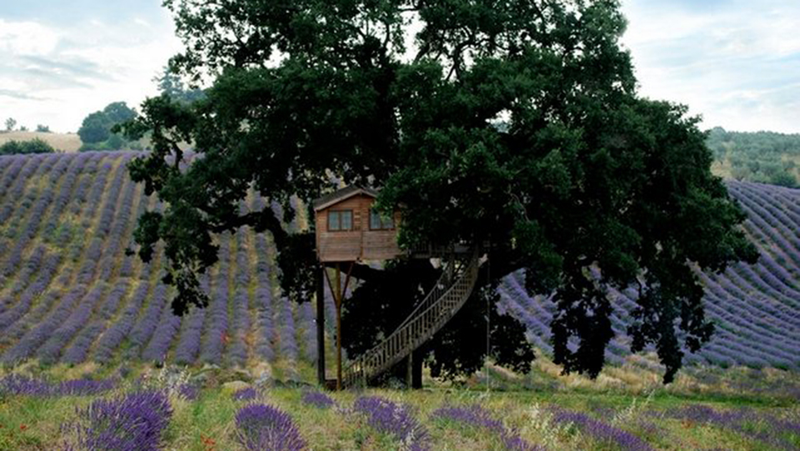 Illustration for article titled 13 Ingenious Treehouses That Go Out on a Limb